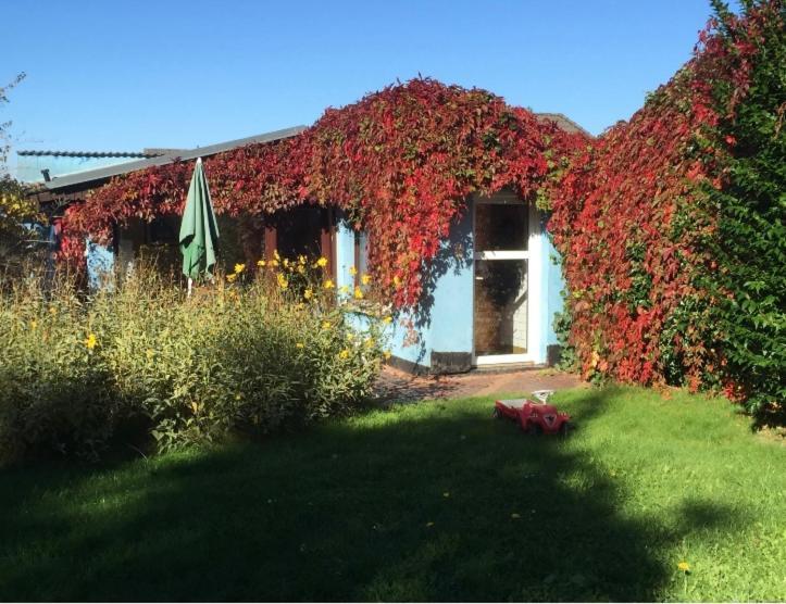 Blaues Haus Neu Reddevitz Villa Lancken-Granitz Exteriör bild